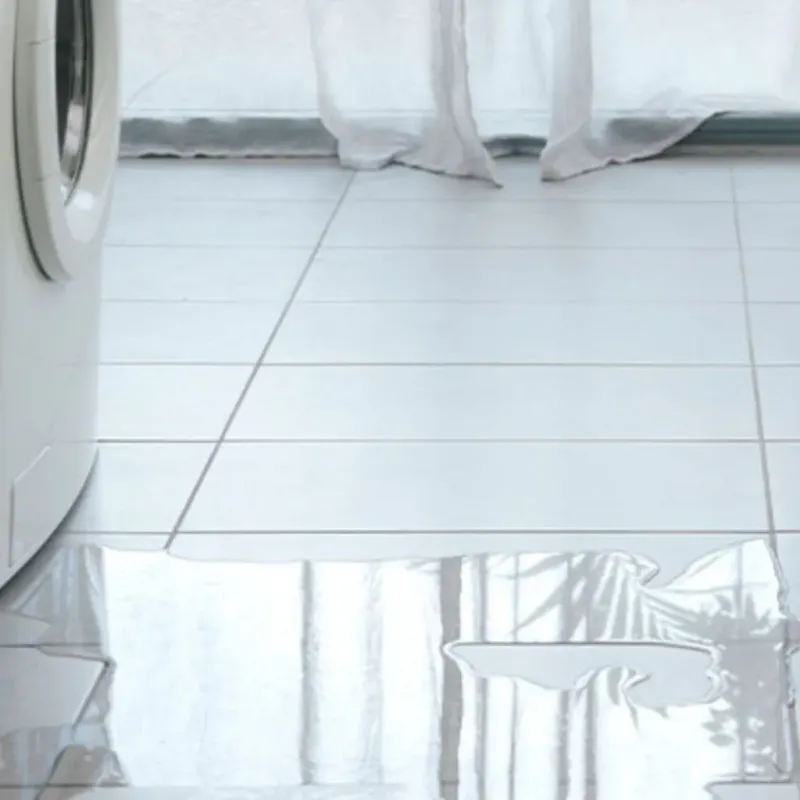 Appliance Leak Cleanup in North River Shores, FL