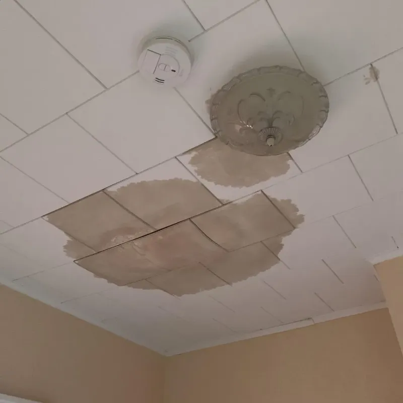 Ceiling Water Damage Repair in North River Shores, FL