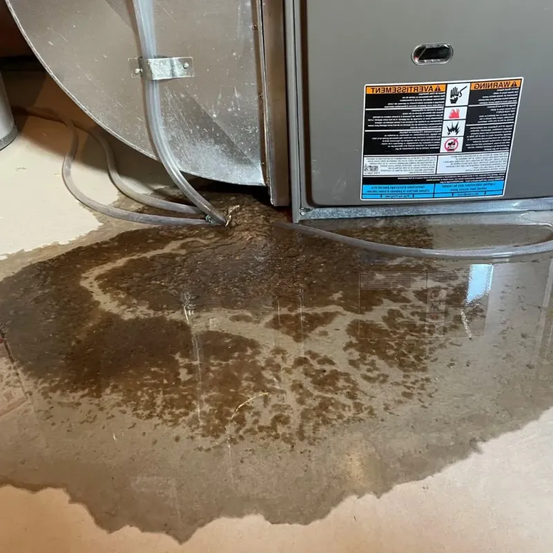 Pipe Burst and Leak Restoration in North River Shores, FL